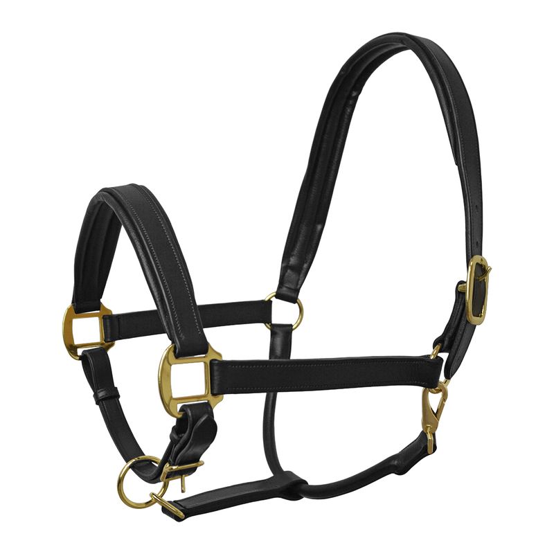 CAVEZZA IN CUOIO IMBOTTITA BASIC LINE OTTONATA