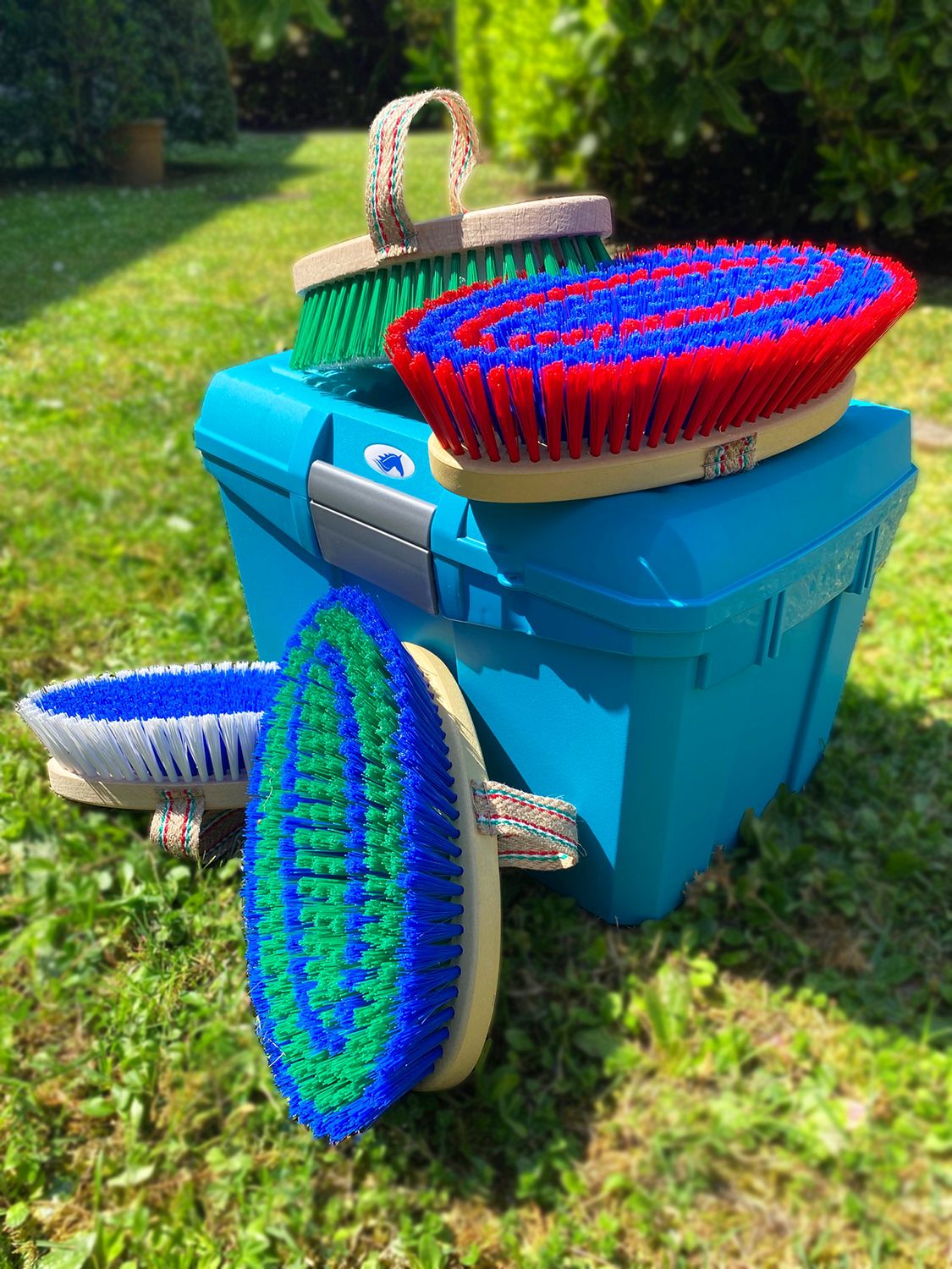 BRUSCONE CON DORSO IN PLASTICA