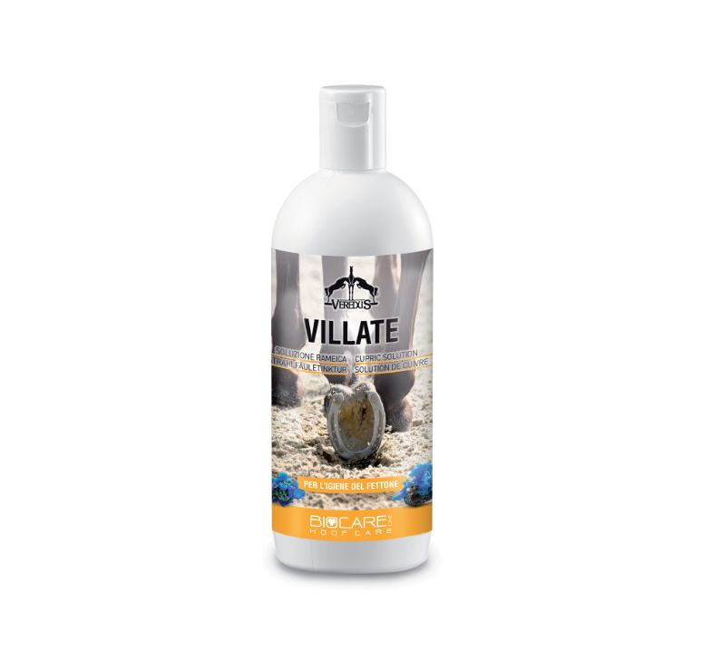 VILLATE ML 500