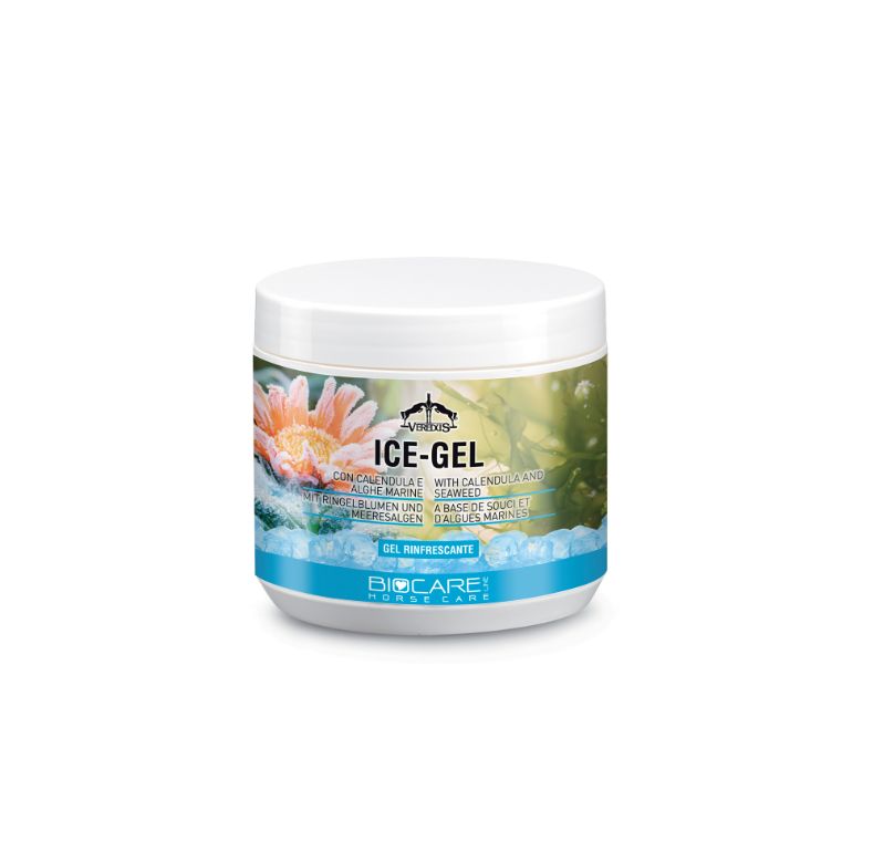 ICE GEL 500 ML ICE GEL 500 ML