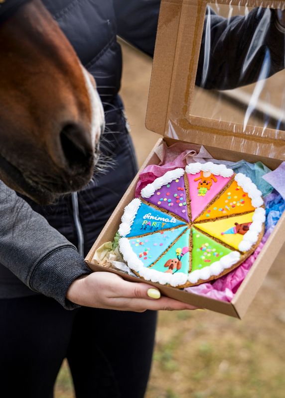 CANDY HORSE - TARTE - BISCOTTO PER CAVALLI