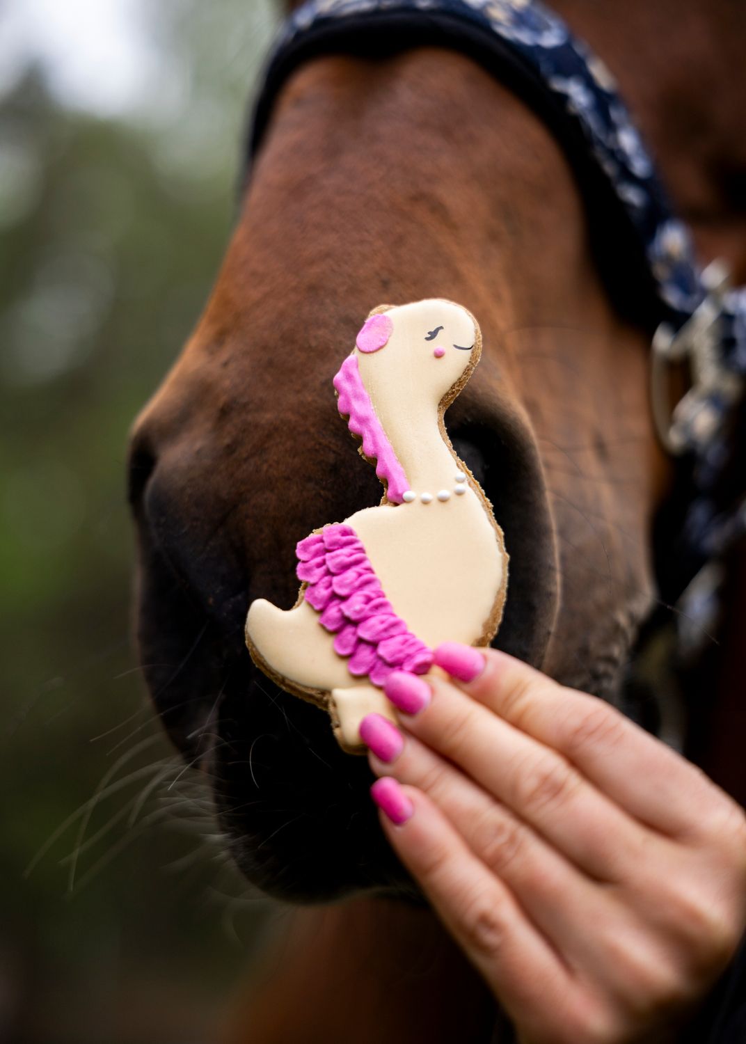 CANDY HORSE - DINO - BISCOTTO PER CAVALLI