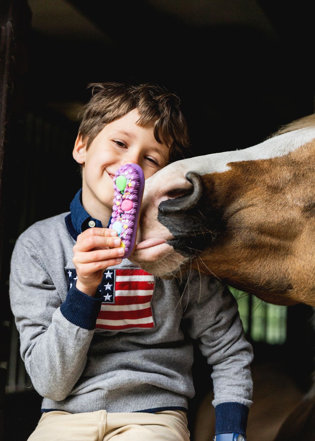 CANDY HORSE - ECLAIR - BISCOTTO PER CAVALLI