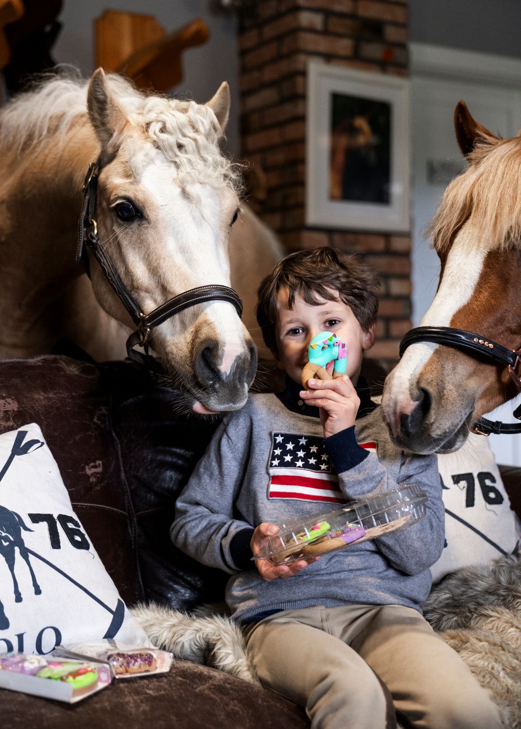 CANDY HORSE - PRETZELS BISCOTTI PER CAVALLI CONFEZIONE DA 6 PZ