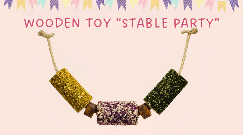 CANDY HORSE - STABLE PARTY GIOCATTOLO IN LEGNO PER CAVALLI