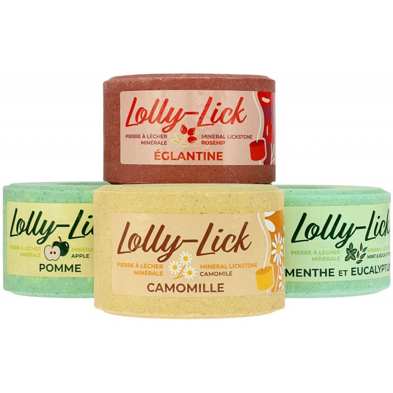 LOLLY-LICK 700 G