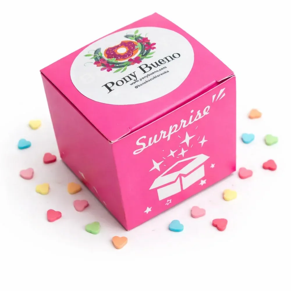 MISTERY BOX MINI COOKIE