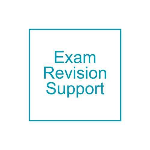 Tutoring - exams / revision 45 mins