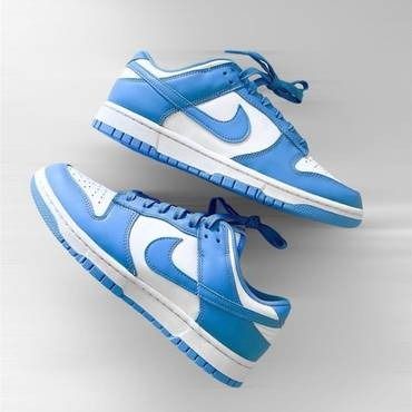 Nike SB Dunk "Coast"