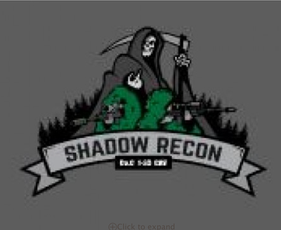 1-33 Cav Shadow Recon Decal