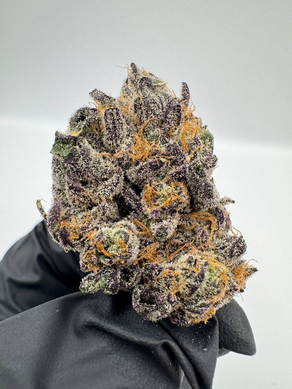 Glitterbomb (PRE-ORDER OUNCES ONLY)