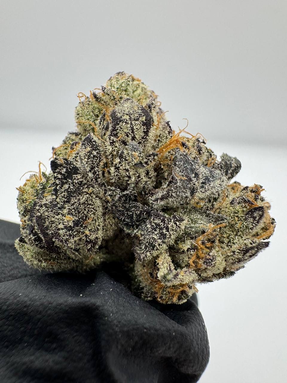 State Grape