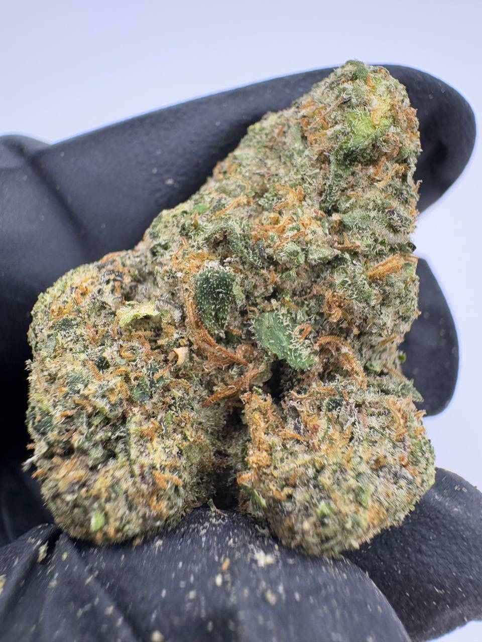 Black Cherry Soda