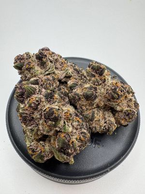 Mimosa