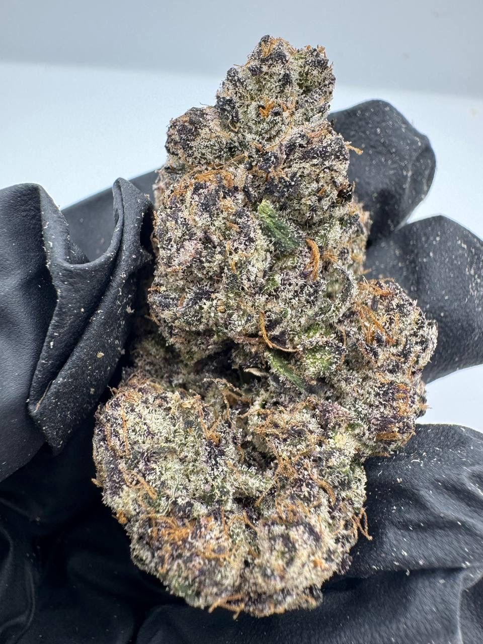 Midnight Sprinkle