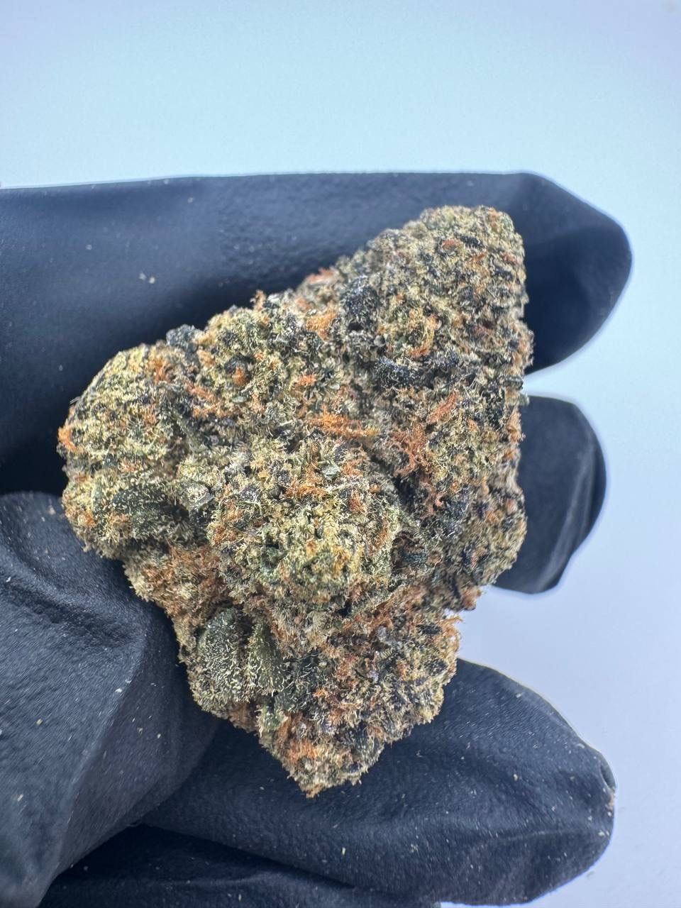 Blue Frost