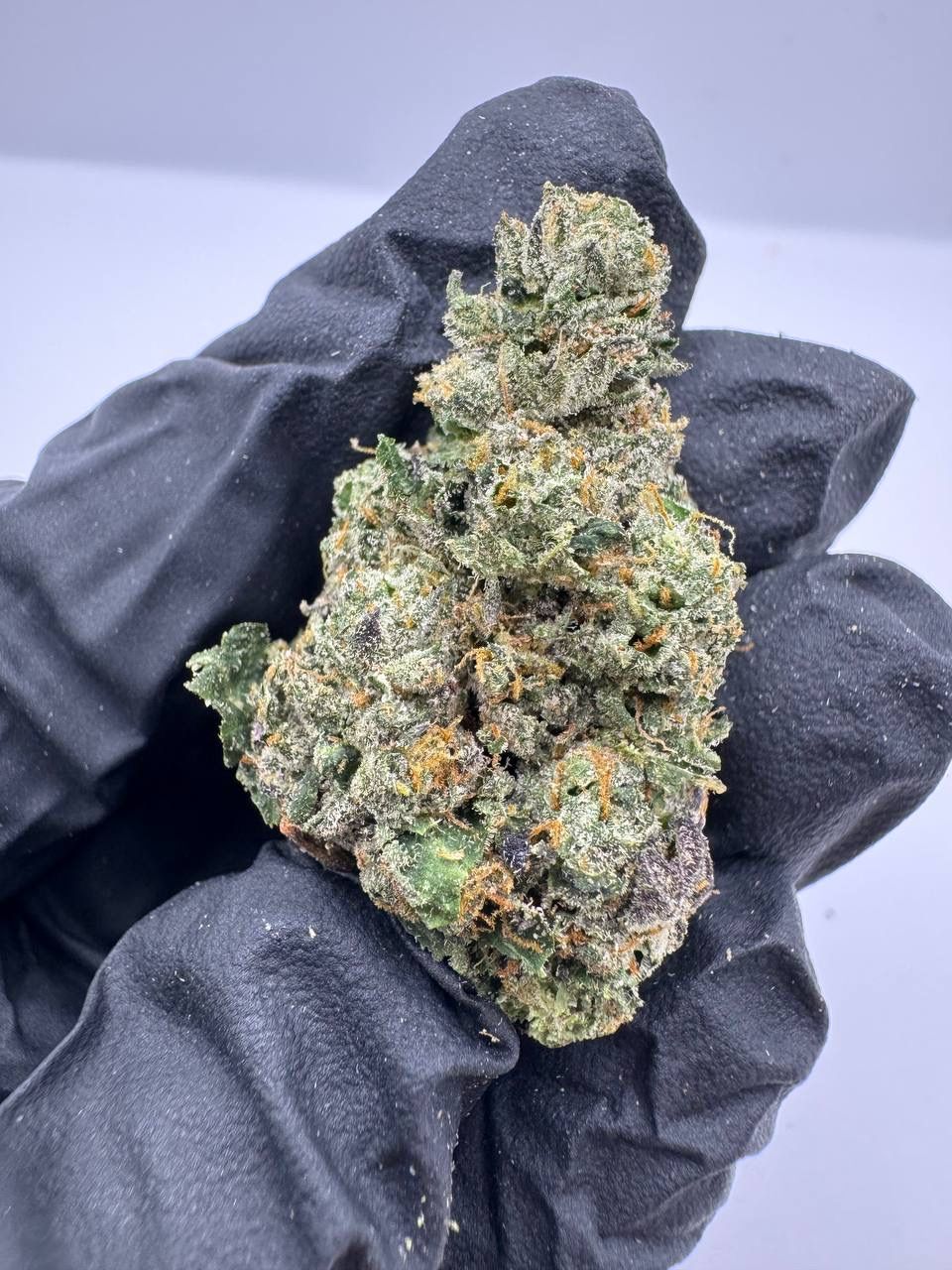 Querkle