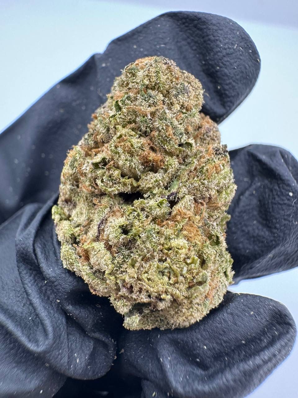 Space Cake