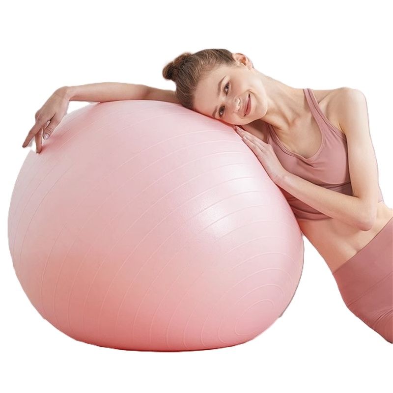 55cm Yoga Exercise Ball