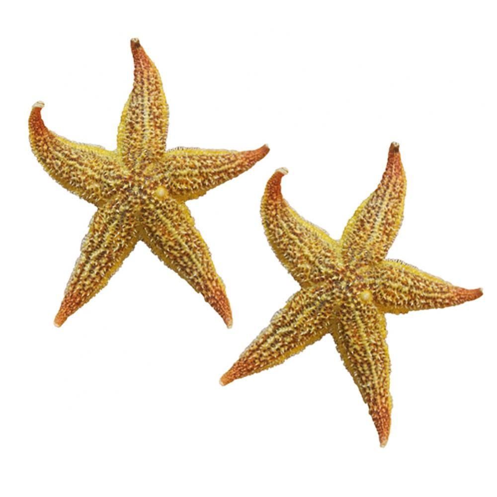 Stella Maris — Guide and Energy of the Waters