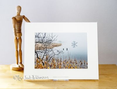 Photo Print Mounted Only