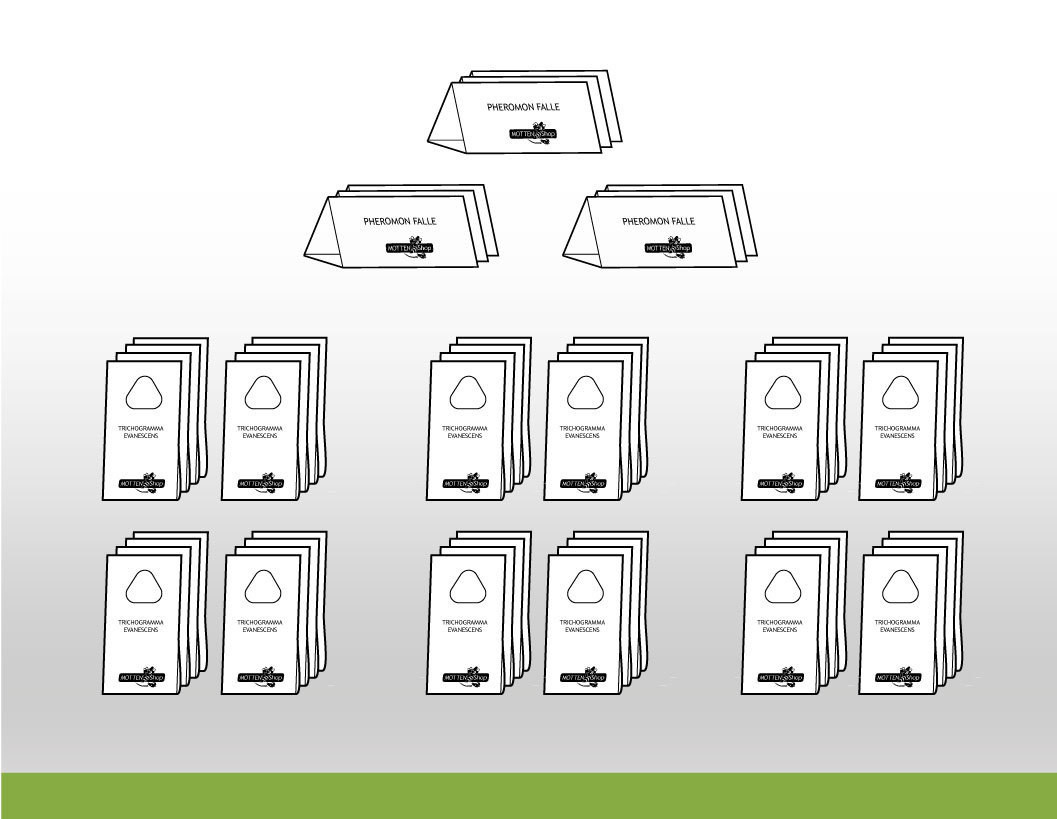 Kleidermotten-Paket: Tricho-XXL™