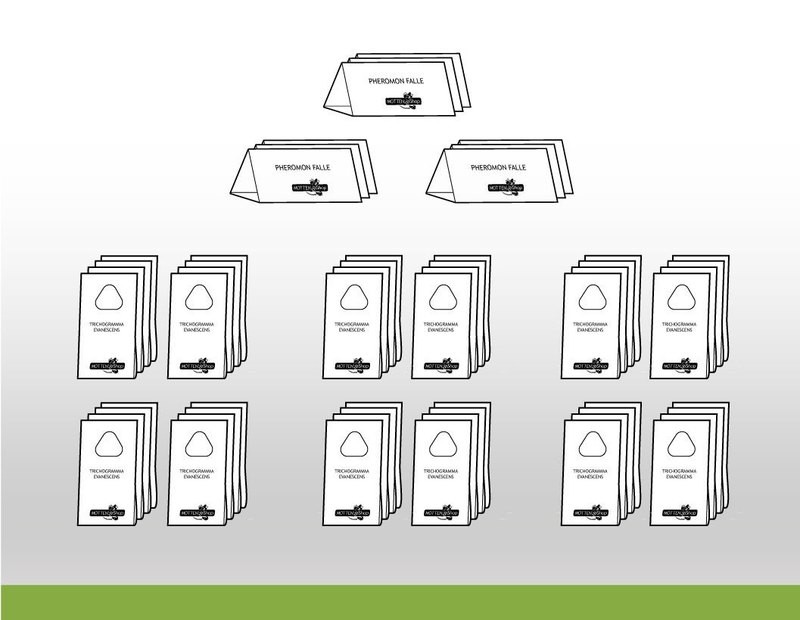 Kleidermotten-Paket: Tricho-XXL™