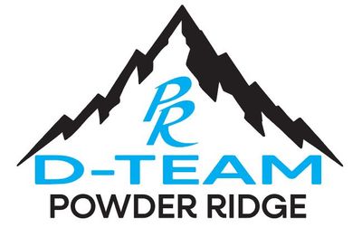 D-TEAM RACING