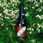 BIBO DESERTEUR PINOT NOIR