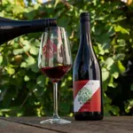 BIBO DESERTEUR PINOT NOIR
