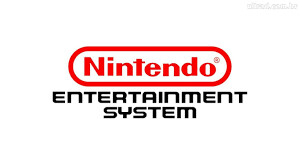 Final Fantasy w/Manual  [NES]