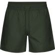 classic SWIM SHORTS