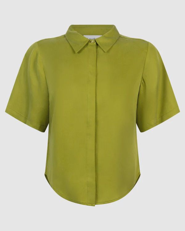 Dache Shirt