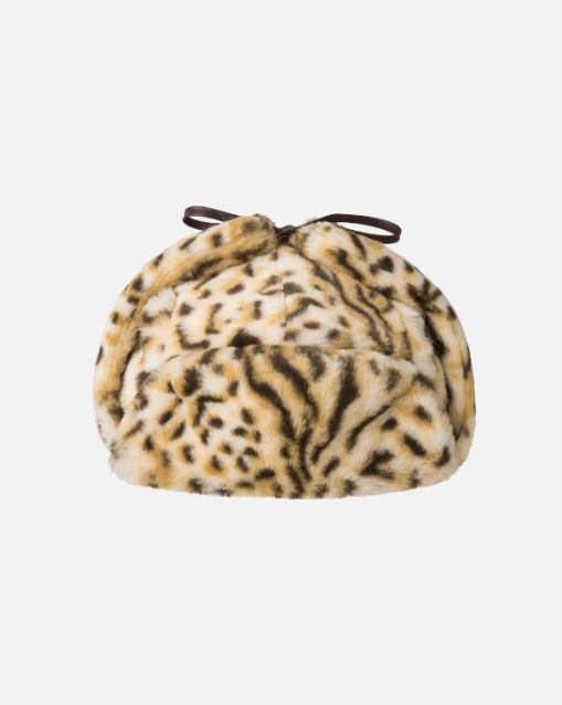 Leopard Trapper