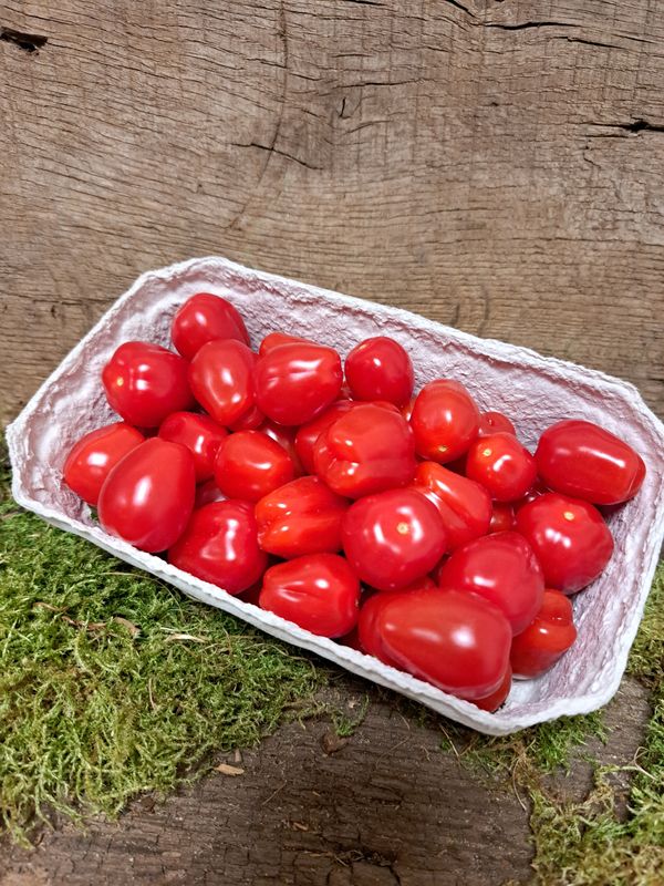 Cocktailtomaten
