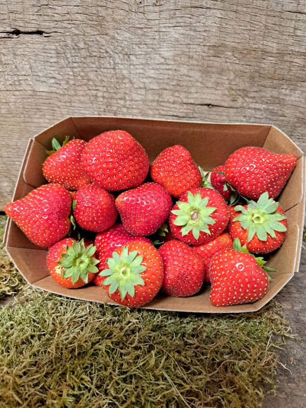 Erdbeeren, 500 g