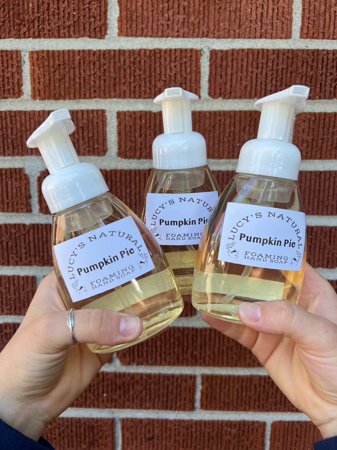 Lucy's All Natural Foaming Hand Soap. Pumpkin Pie!