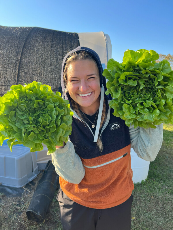 Head Lettuce