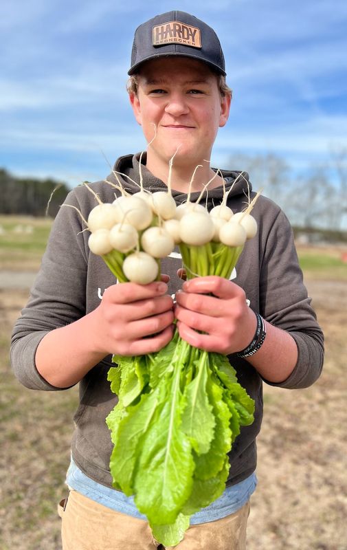 Salad Turnips