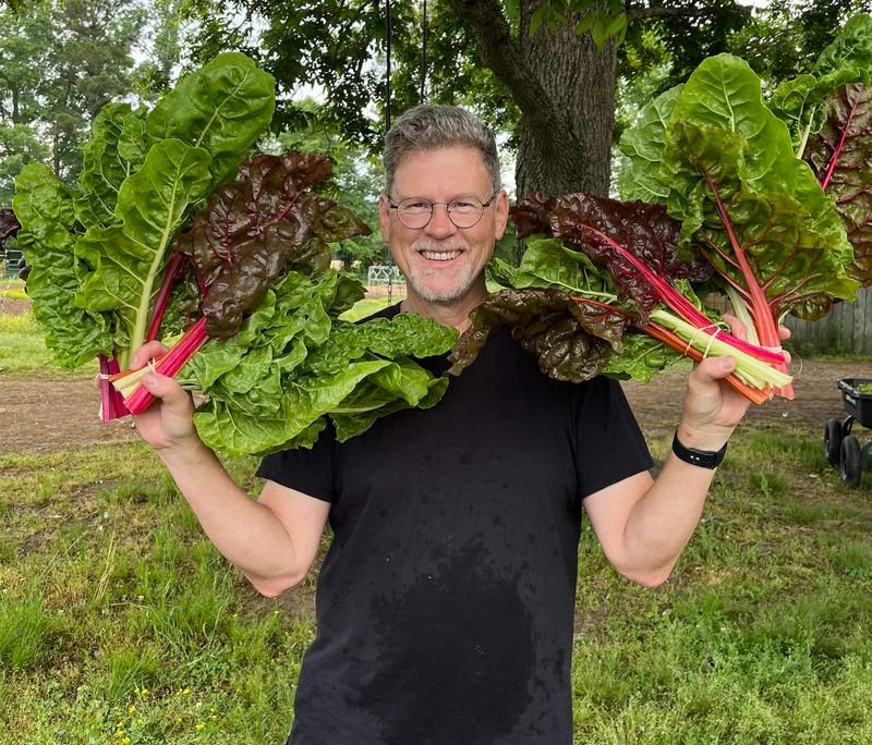 Swiss Chard