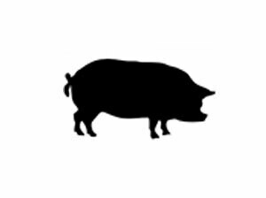 Pork