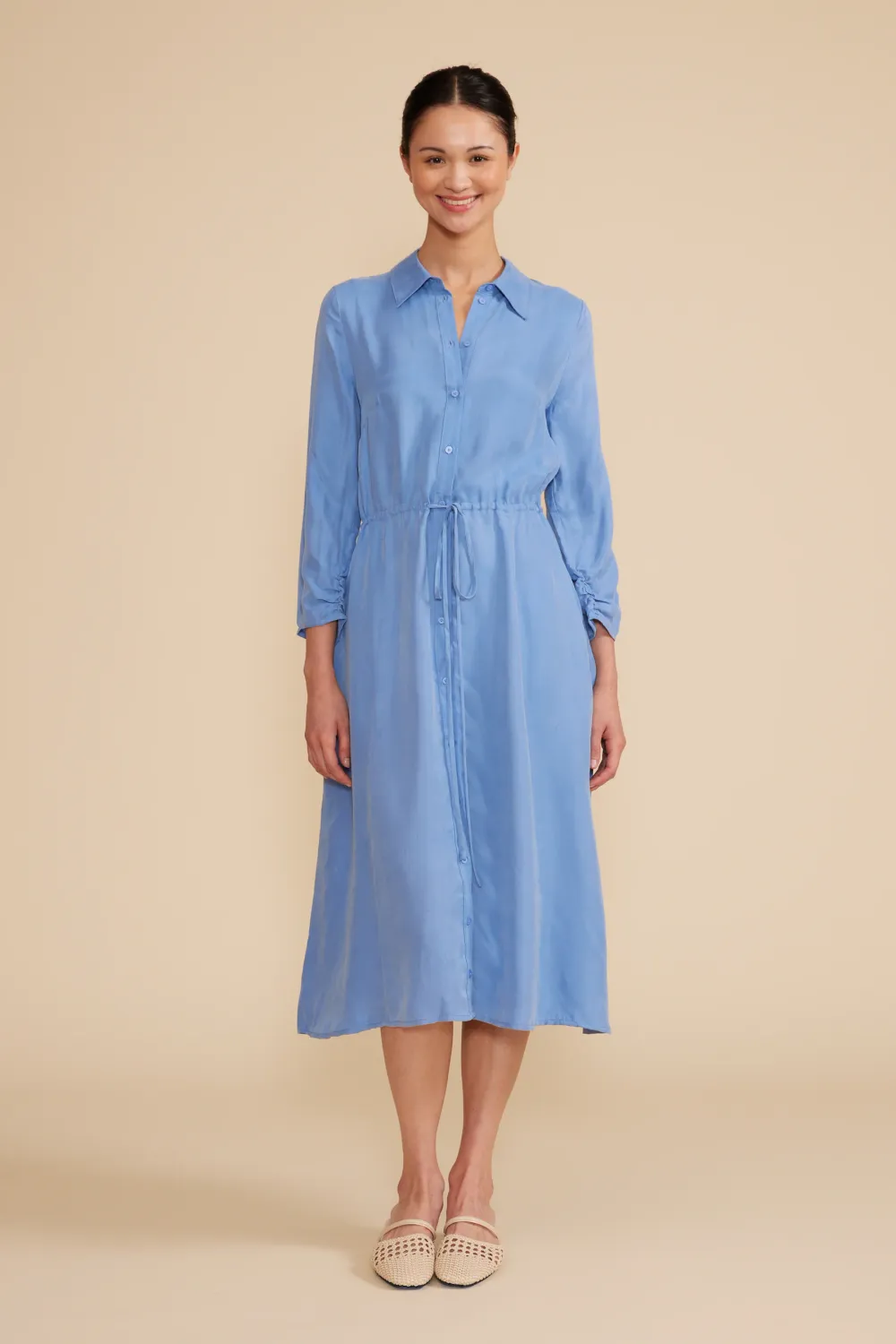 Audrey Button Down Dress