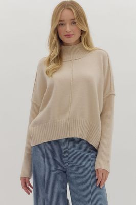 Solid High Nk Sweater