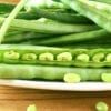 Cow Peas Betchuanaland Wit/ Betch White 25KG - (Duplicate Imported from WooCommerce)