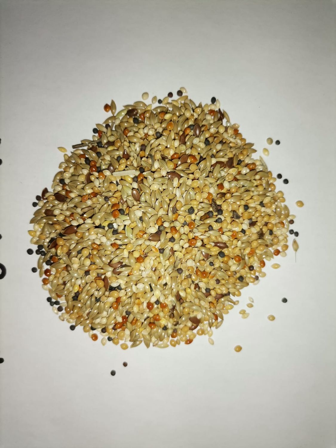 Juava Mixed Canary 2KG Juava Mixed Canary 2KG