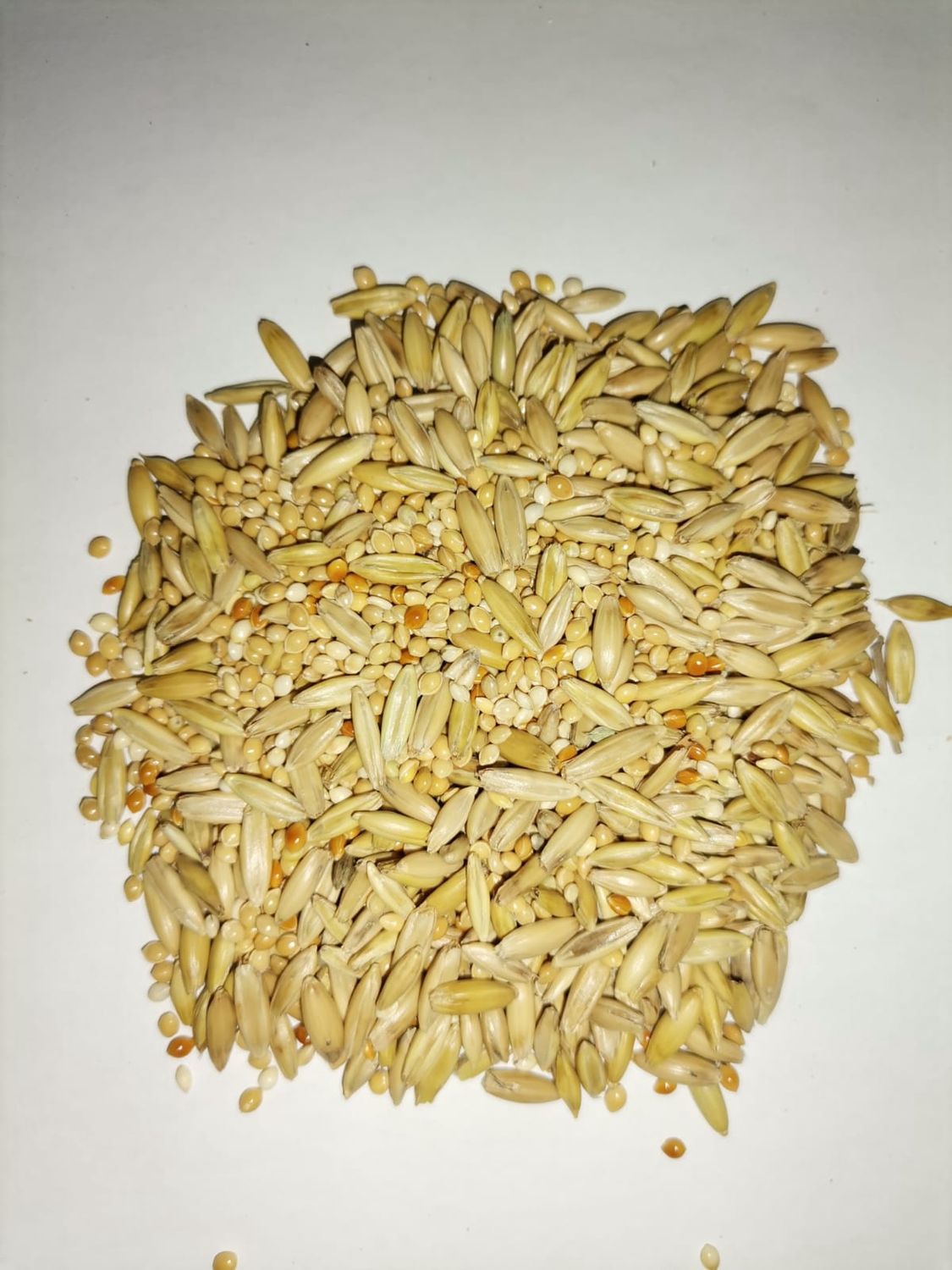 Juava Mixed Budgie 5KG