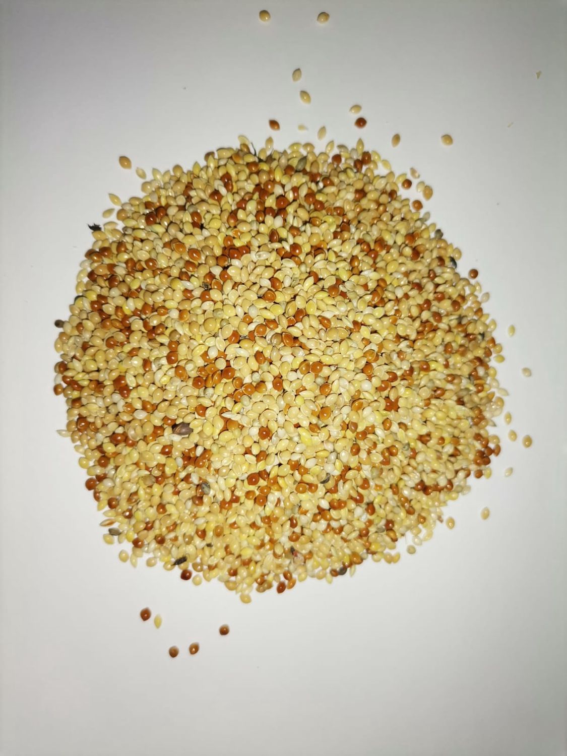 Juava Mixed Bird Seed 1KG