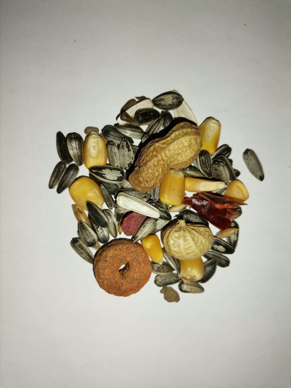 Mixed Parrot 5KG