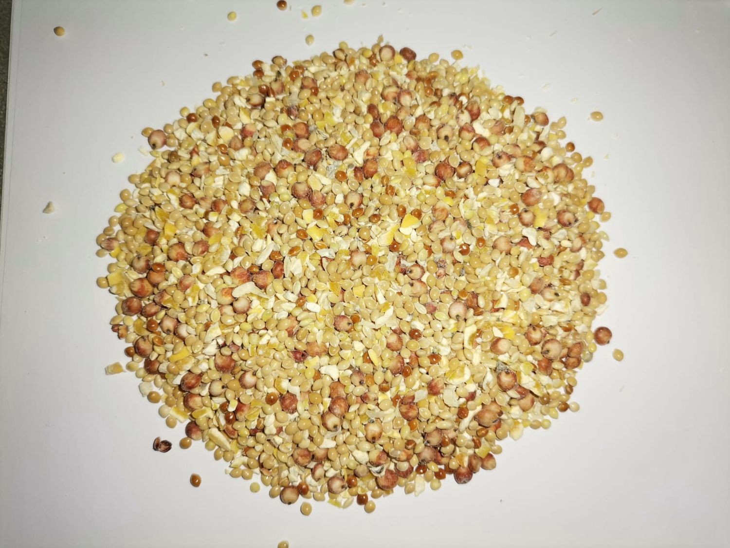 Juava Wild Bird Seed 5KG