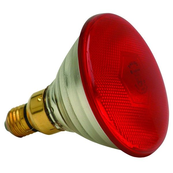 Infra Red Lamp 175W(Hard Glass) Red